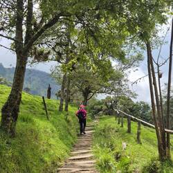 Ein toller Wanderweg