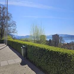 Zugersee und Rigi im Hintergrund
