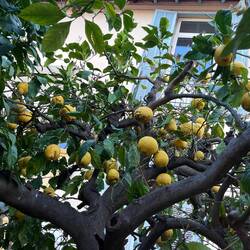 Et sur la terrasse…