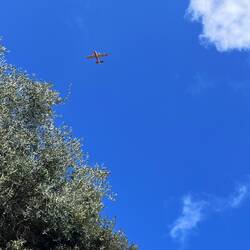 Déjà des canadairs ?