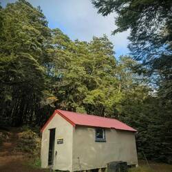 Bealey Hut (the next morning)