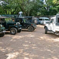 Start der Safari ...