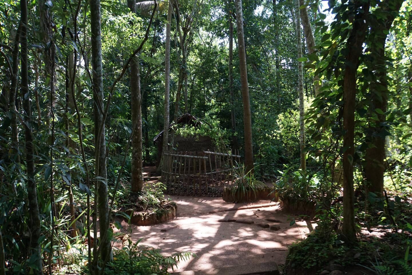 Kräuter- und Gewürzgarten in Matale