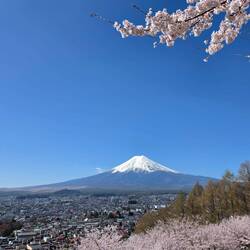 Mt. Fuji