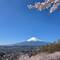 Mt. Fuji