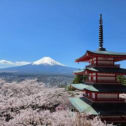 Chureito Pagode mit Mt. Fuji