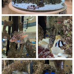 Aquarium in Ishigaki