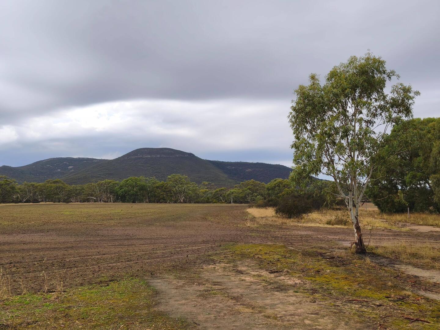 "Marble Range" Berg aus dem Nichts zwischen Wangary und Coulta