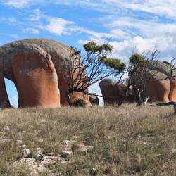 Murphy's Haystacks