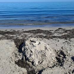 Dem Verfall preis gegeben...