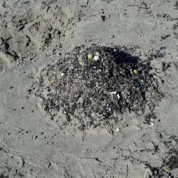 Osternest, oder was?