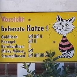 Das ist erschreckend