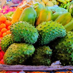 Neue Frucht - Guyabano