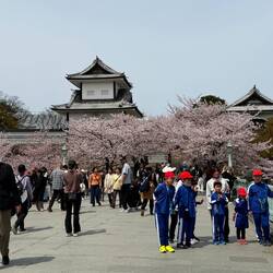 Kanazawa Castel