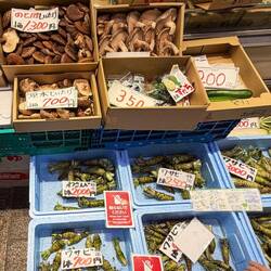 Wasabi