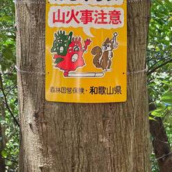 Only you can prevent forest fires