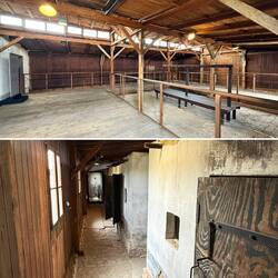 Frauenbereich für Inspizierung und "Aussortierung".