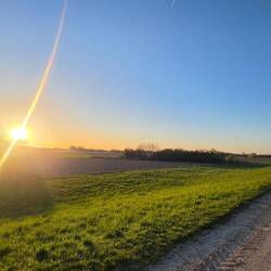 Morgensonne über der Puzsta
