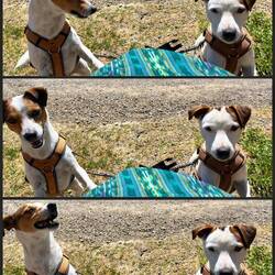 Kaum öffnet man die Tasche...