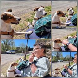 Ute hatte wieder Argumente