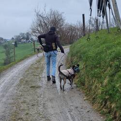 Letzter Blick zurück zum Hofhund......