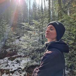 Da haben die Sonnenstrahlen endlich den Weg durch die Bäume gefunden.