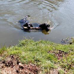 But they always share