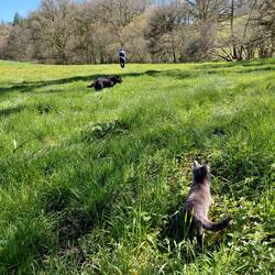 Oh no, we have to walk all the way home again....