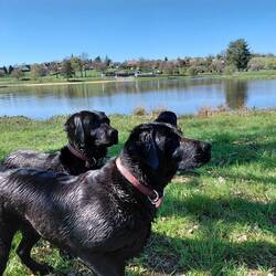 Dirty faces - guess who found the muddy puddle