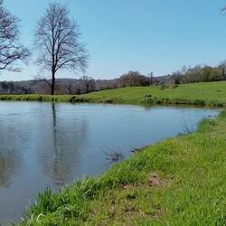 Tinks wins the long jump every time