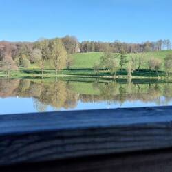 And a different view