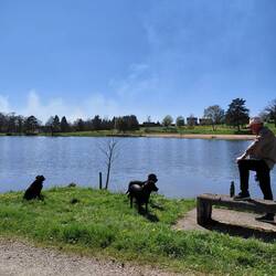 A visit to the lake in Saint Germain-les-belles