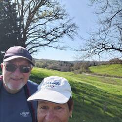 How green is our valley?