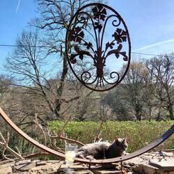 Phew, I made it. Time for a GnT