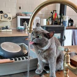 And Esme loves to drink water straight from the running tap 😂