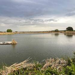 Regenfreier Spaziergang raus aus Casatejada