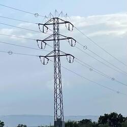 Kupferdrähte sollen verhindern, dass Störche gegen die Leitungen fliegen.