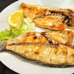Goldbrasse für Igi