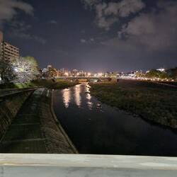 Kamo rivier / river