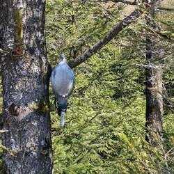 Tierquälerei - auf dem 2. Blick ein Geocache😃