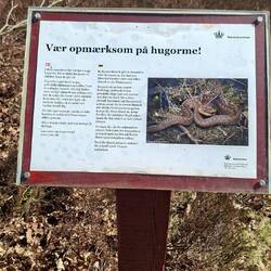 Wildniserwartung wird erhöht...