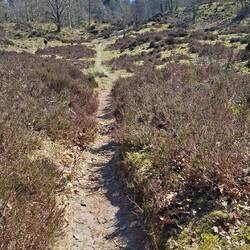 ...aber ich habe keine Schlange gesehen.