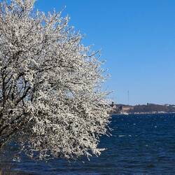 Die Flensburger Förde