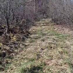 Es gibt auch Singletrails - entdeckt von Penny