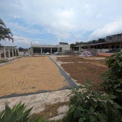 Coffee washing station "La voz"