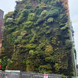 CaixaForum- vertical garden.