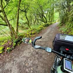 Schöne Abschnitte durch den Wald