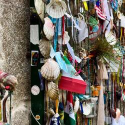 Die Jakobsmuschel als Pilgersymbol