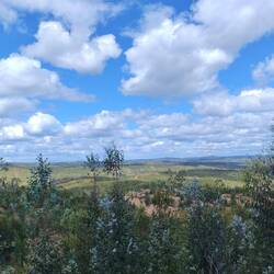 Weit oben. So viel zum Thema "geringe Höhenunterschiede". Pah!