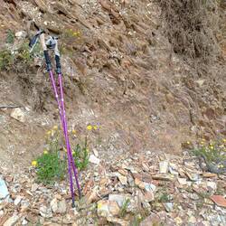 Wundermittel Wanderstöcke. Neu gekauft. Machen sich super! Und sind tiffifarben
